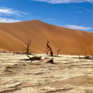 10-Day Namibia Safari: A Journey Through Canyons, Dunes & Wildlife