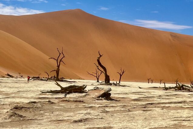 10-Day Namibia Safari: A Journey Through Canyons, Dunes & Wildlife