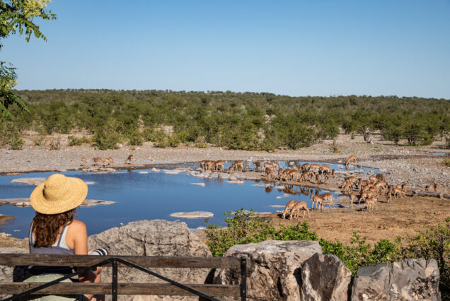 3 Days Etosha National Park Safari Namibia