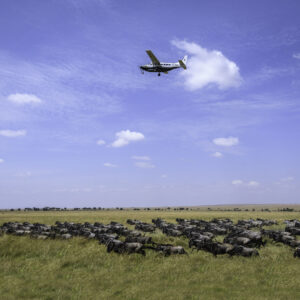 7-Day Tanzania Safari and Zanzibar Beach Escape