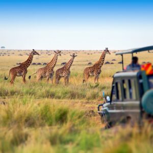 5-Day Maasai Mara & Lake Naivasha Private Safari – A Journey to the Heart of Nature