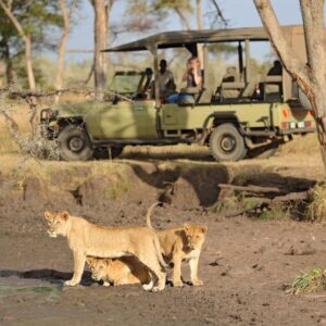 Ultimate 16-Day East Africa Safari: Kenya, Tanzania & Uganda Expedition.