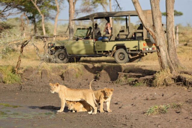 Ultimate 16-Day East Africa Safari: Kenya, Tanzania & Uganda Expedition.