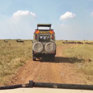 3-Day, 2-Night Mid-Luxury Maasai Mara Safari, Kenya
